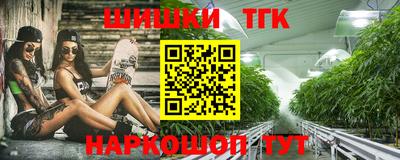 МДПВ Славгород