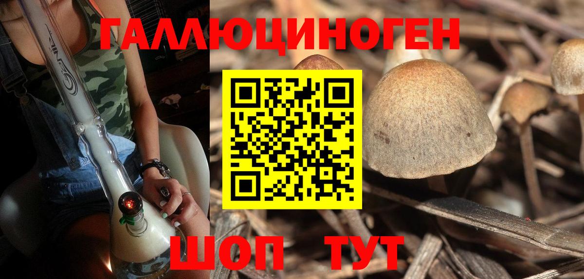 дарнет шоп  Псилоцибиновые грибы ЛСД  Сосновый Бор  Вход с VPN  Псилоцибиновые грибы Psilocybine cubensis 